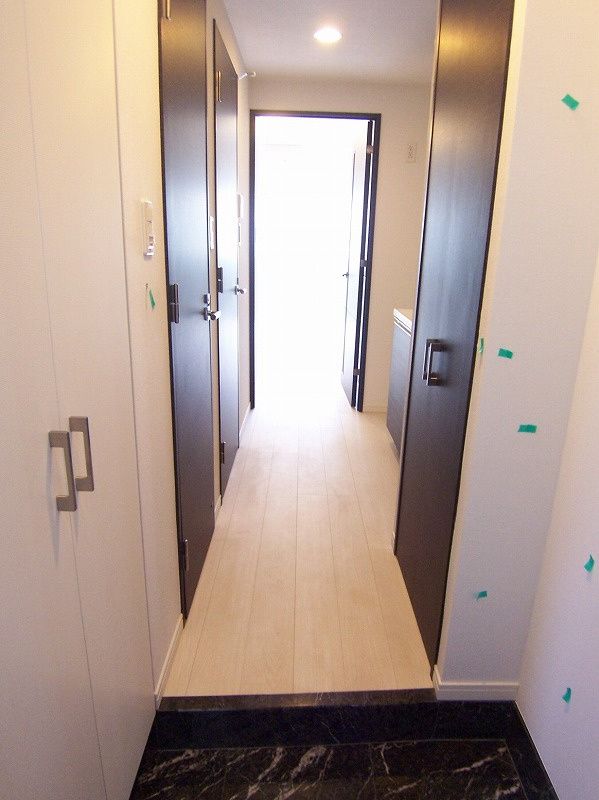 玄関　（別タイプ参考写真）パティーナ新板橋　板橋区板橋1