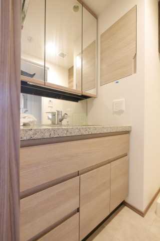 洗面設備　ブランシエスタ白山の洗面所