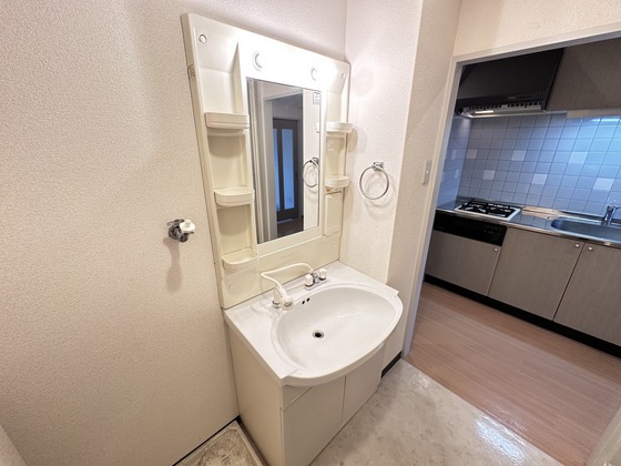 洗面設備　※別部屋の写真です