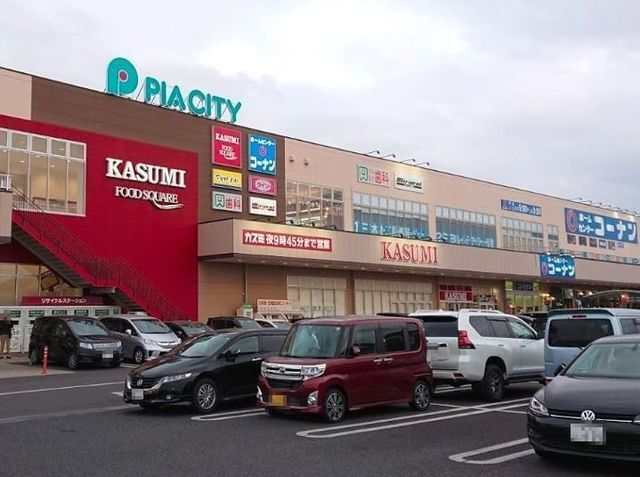 ショッピングセンター　ピアシティ柏中新宿（ショッピングセンター）まで800m