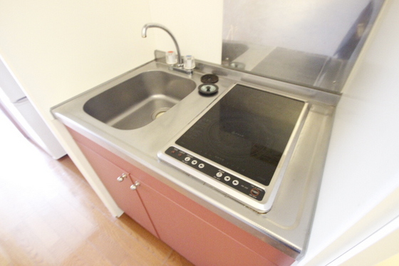 キッチン　※別号室の写真です