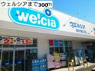 ドラックストア　ウェルシア（ドラッグストア）まで300m