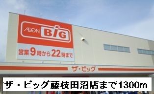 スーパー　ザ・ビッグ藤枝田沼店（スーパー）まで1300m