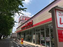 ショッピングセンター　ファッションセンターしまむら大和田店（ショッピングセンター）まで835m