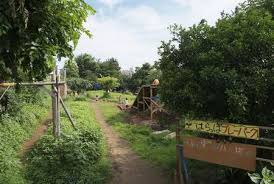 公園　駒沢はらっぱプレーパーク（公園）まで677m