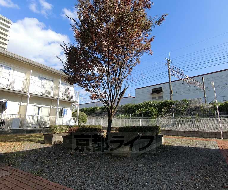 庭