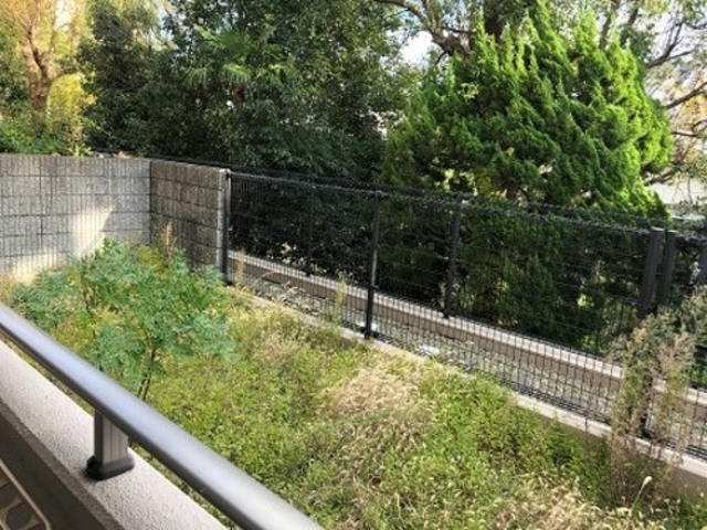 庭