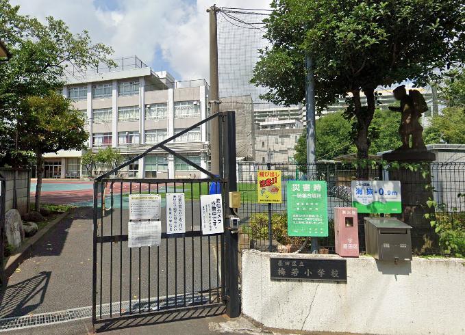 小学校　墨田区立梅若小学校（小学校）まで800m
