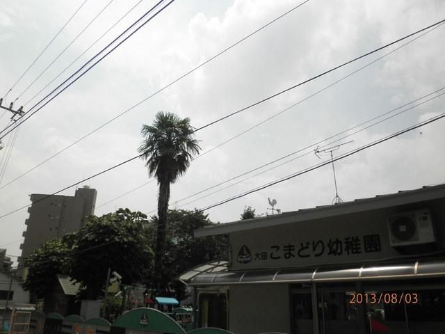 眺望　眺望(参考)