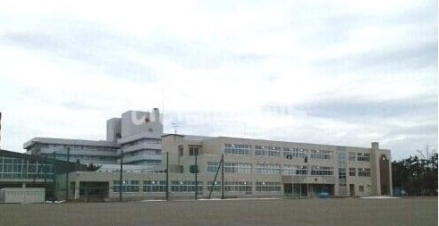小学校　旭川市立青雲小学校（小学校）まで368m