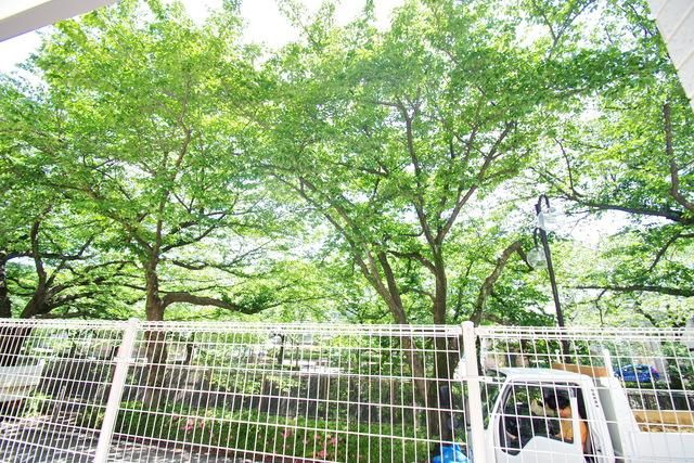 眺望　★タウンハウジング稲田堤店までお問い合わせください★