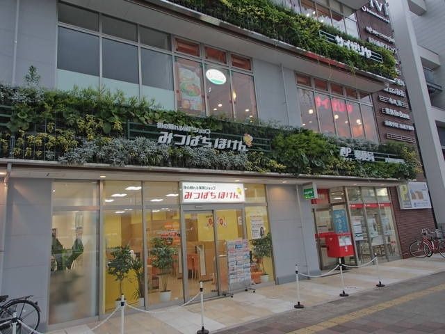 飲食店　サイゼリア（飲食店）まで270m