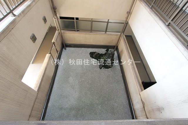 庭