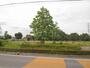 公園　今泉中央公園（公園）まで166m