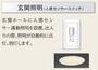 玄関　センサーライト（イメージ）