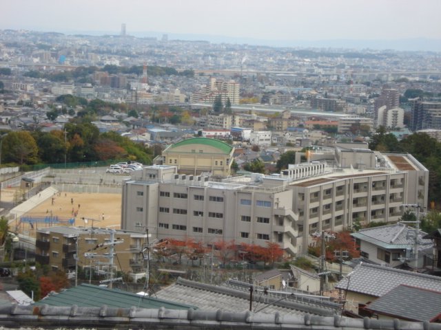 小学校　宝塚市立長尾小学校（小学校）まで1275m