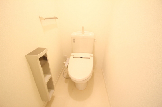 トイレ　※別号室の写真です