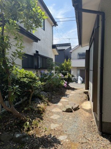 庭