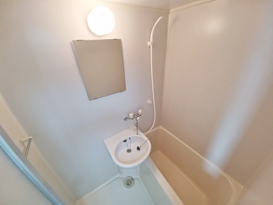 バス・シャワールーム　※別部屋の写真です