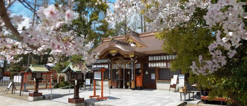 その他　阿部野神社（その他）まで255m