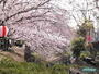 公園　今川公園（公園）まで809m