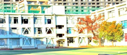 小学校　新宿区立柏木小学校（小学校）まで347m