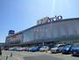 スーパー　イトーヨーカドーアリオ札幌店（スーパー）まで556m