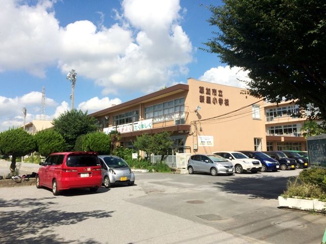 小学校　草加市立新里小学校（小学校）まで285m