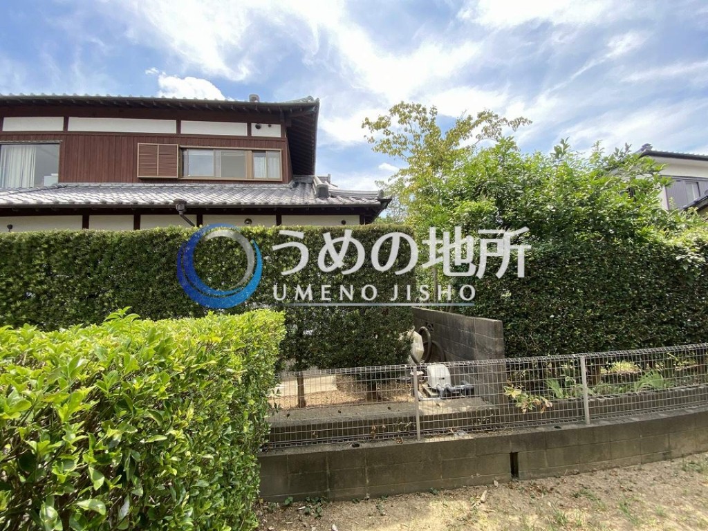 眺望　眺望
