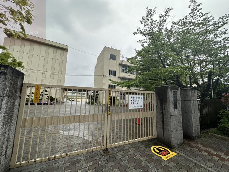 小学校　八尾市立八尾小学（小学校）まで434m