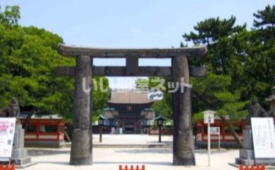 その他　筥崎宮（その他）まで4942m