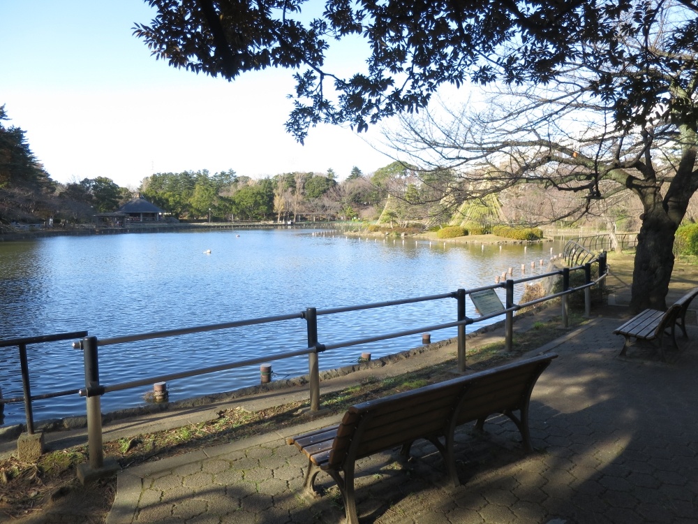 公園　千葉公園（公園）まで935m