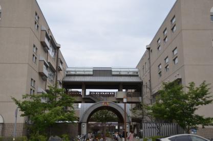小学校　神戸市立だいち小学校（小学校）まで774m