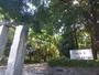 公園　砧公園（公園）まで1559m