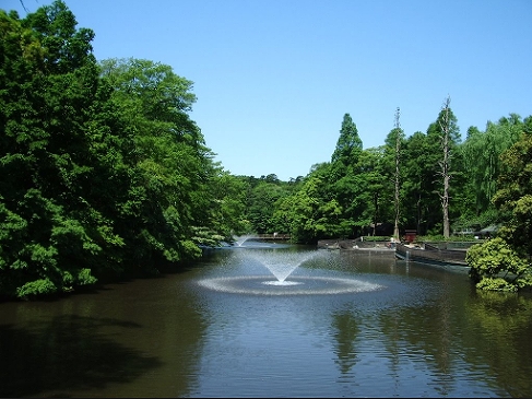 公園　都立井の頭公園（公園）まで1048m