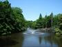 公園　都立井の頭公園（公園）まで1048m