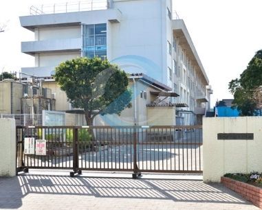 中学校　市川市立福栄中学校（中学校）まで360m