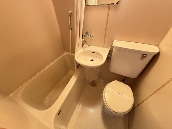 バス・シャワールーム　※別部屋の写真です