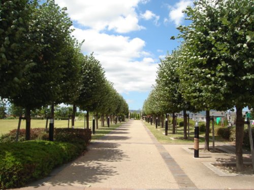 公園　新池公園（公園）まで770m