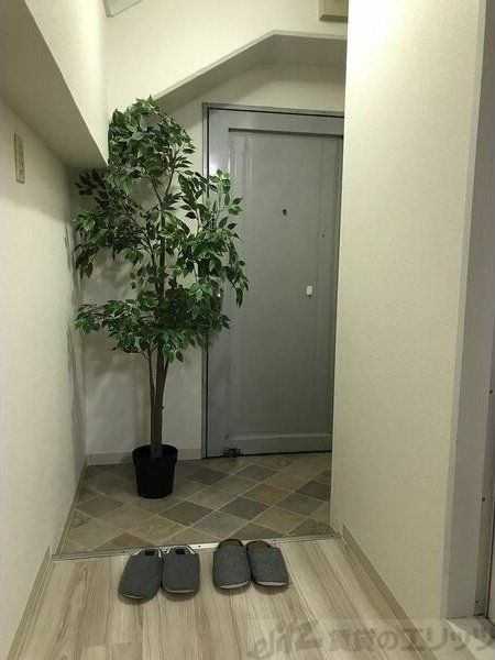 ビスタ緑地Iの玄関写真