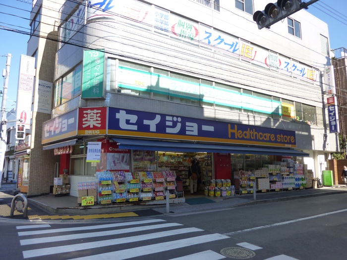 ドラックストア　くすりセイジョー等々力店（ドラッグストア）まで335m