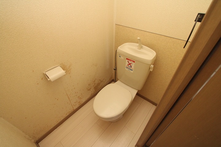 ソレール桜丘のトイレ写真
