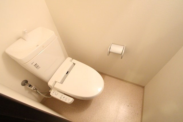 トイレ　※他号室の写真です。