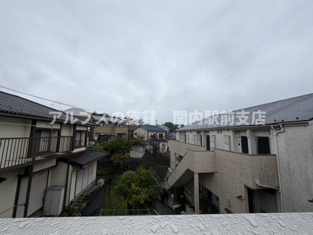 Stella杉田のその他写真