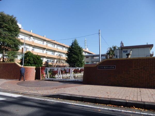 小学校　植竹小学校（小学校）まで800m