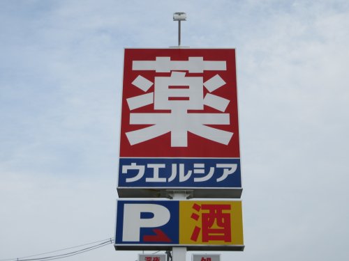 ドラックストア　ウエルシア薬局甲府徳行店（ドラッグストア）まで754m