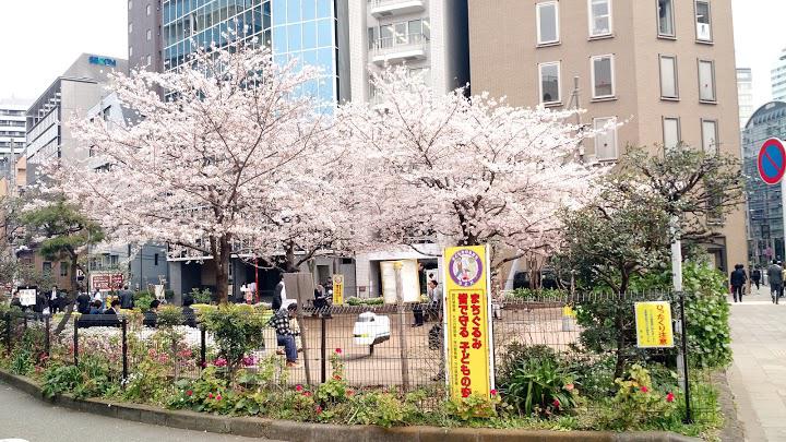 公園　麹町こどもの広場（公園）まで199m