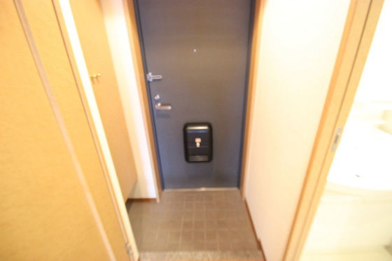 玄関　※別部屋の写真です