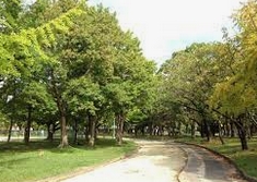 公園　千種公園（公園）まで1420m