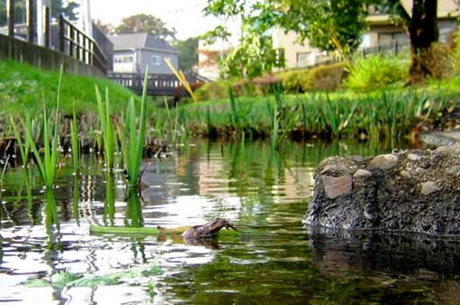 小池アパートの周辺写真